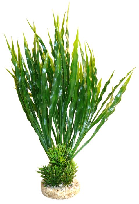 Plante Aqua Atoll verte 28 cm de haut