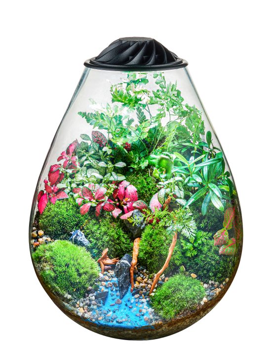 ECO Ping - DE Version