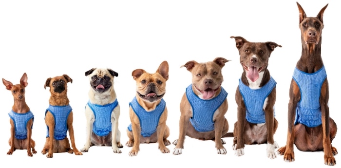 ELASTOFIT Kühlweste - XL