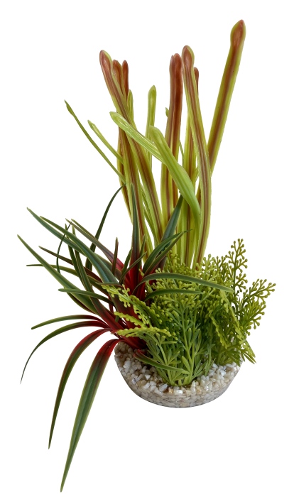 Composition tropicale 20 cm de haut [P4]