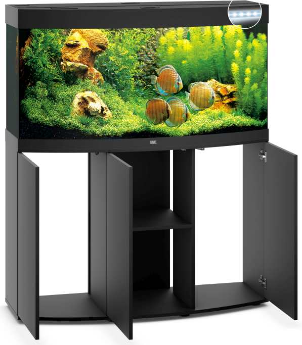 Vision 260 LED SBX schwarz Kombination