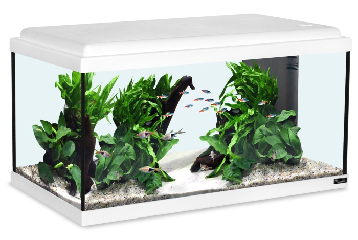 Advance 60 LED Aquarienset weiß