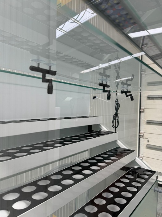 The Greenbox Black 176 Plants Basic incl. WRGB