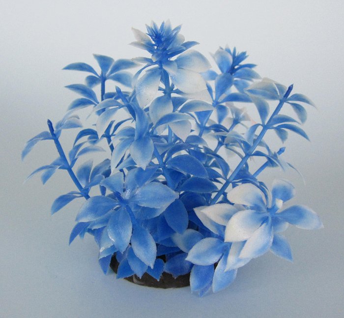 Pflanzen Deluxe S Nr. 25 (8 - 12 cm)