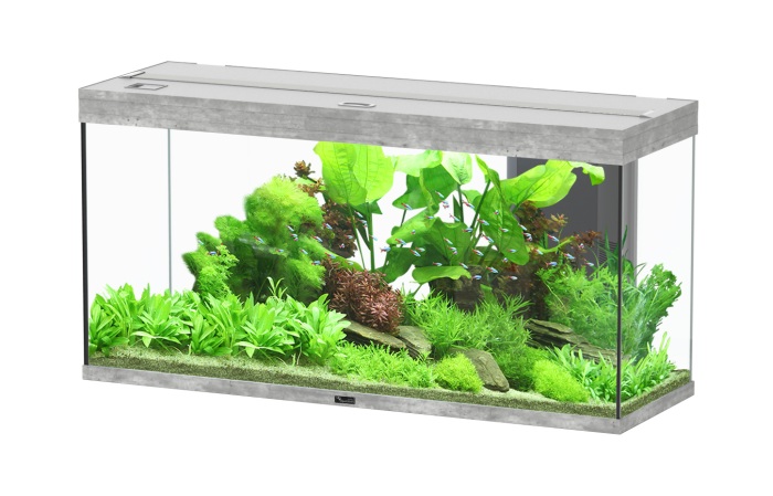 Splendid Ultra 240 Steinoptik Aquarium