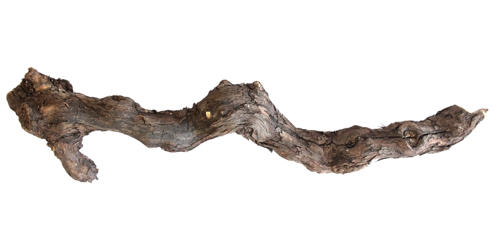 Weinstock S natur (20-39 cm / 15 Stück MIX)