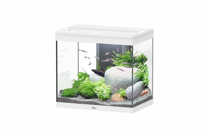 Splendid Ultra 110 Weiß Aquarium