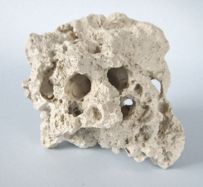 Sansibar X-Small (12 cm)