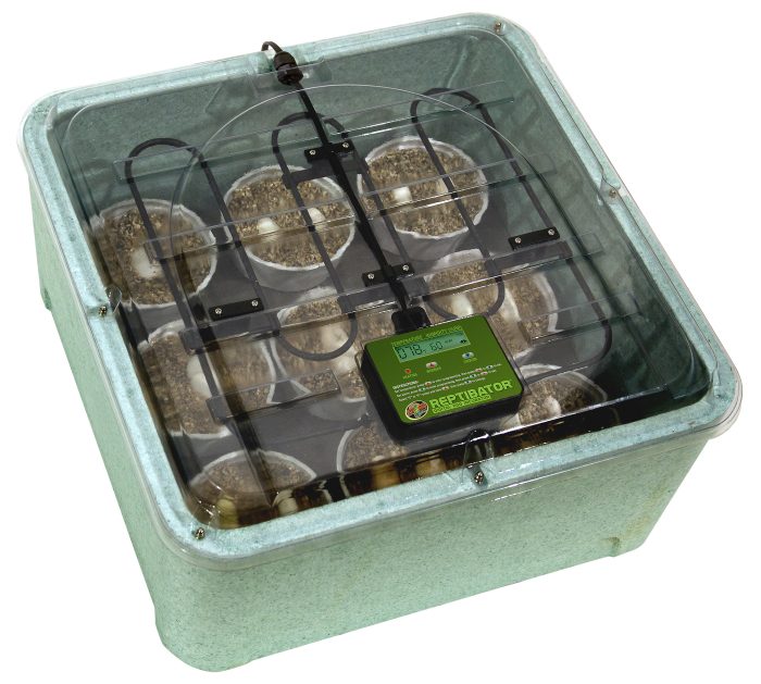 Reptibator Digital Egg Incubator