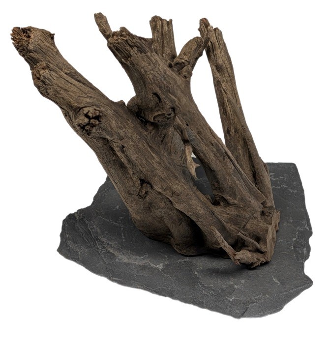 Me Euca Wood on Slate S (18-23 cm) [P15]