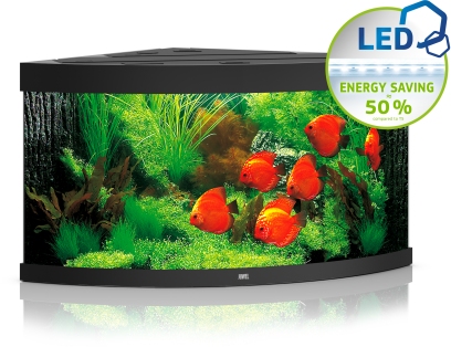 Trigon 350 LED schwarz Aquarium Trigon 350 LED schwarz Aquarium