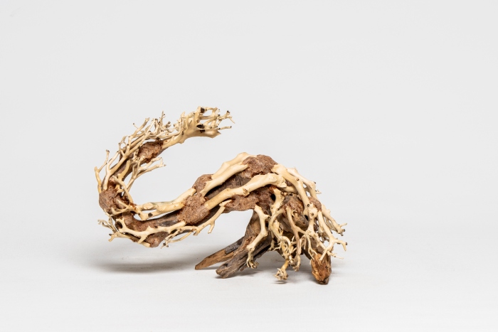 Drachen-Bonsai S (H: 15-18 cm, L: 20-22 cm)