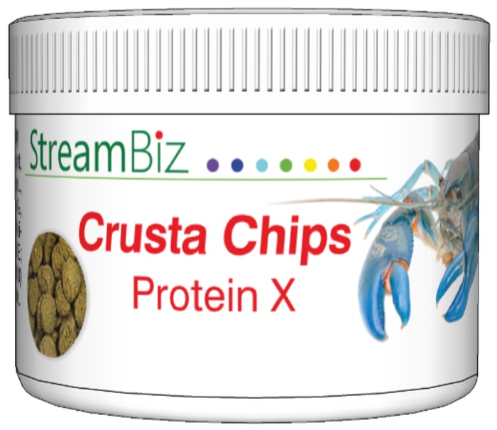 Crusta Chips Protein X (40 g)