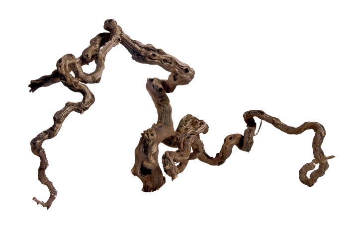 Weinstock M natur (40-70 cm)