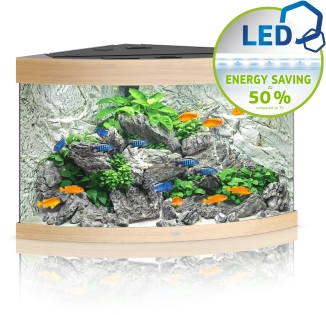 Trigon 190 LED helles Holz Aquarium