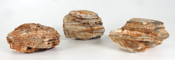 Colorado Rock S (0,5 - 0,8 kg)