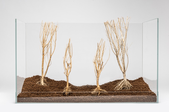 Slim Tree, S, 15-25 cm