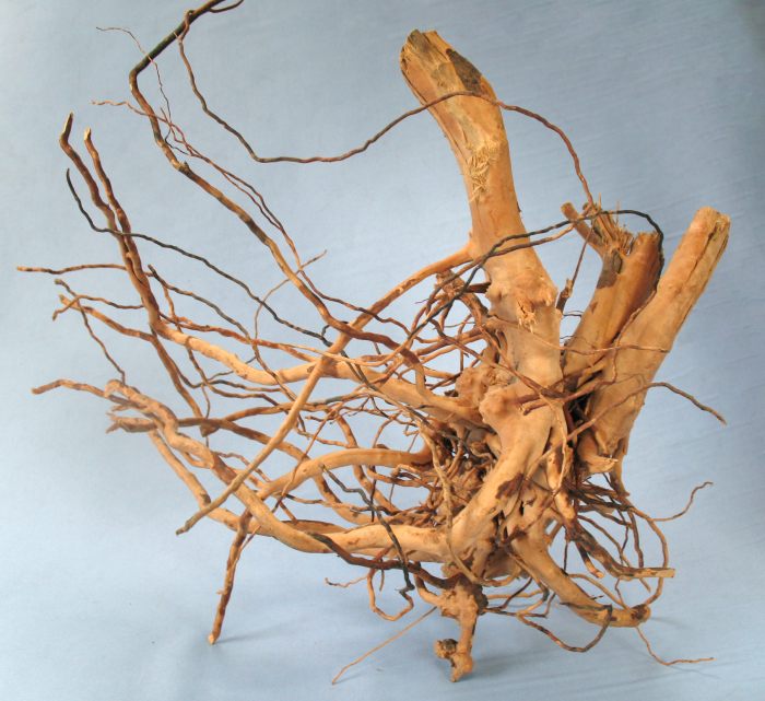 Finger-Wood L (40 - 50 cm)