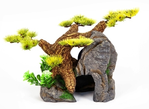 Bonsai Höhle