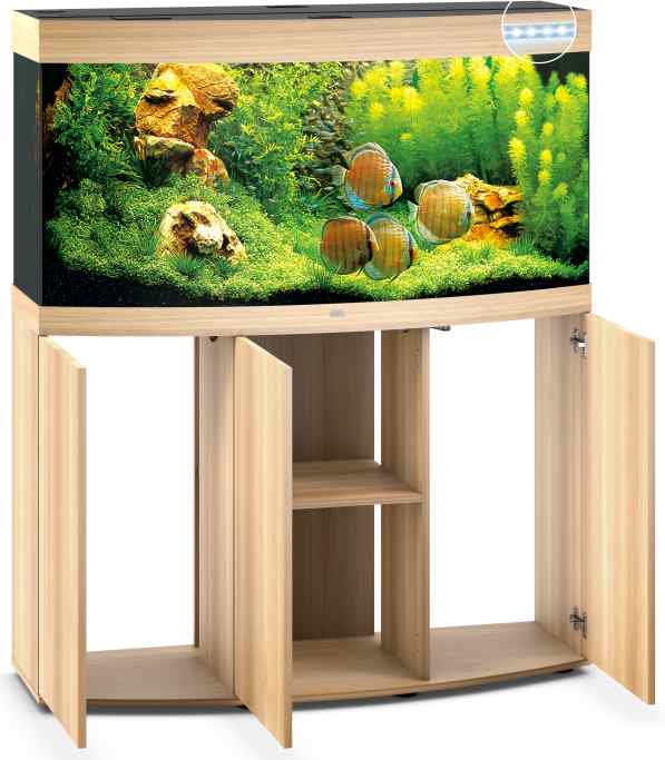 Vision 260 LED SBX helles Holz Kombination