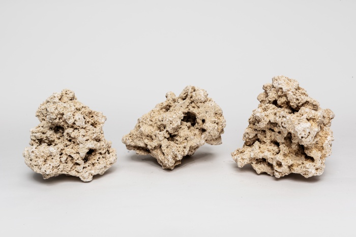 (Save the) Reef Rock Mix (1kg) [P18]