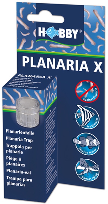 Planaria X Planarienfalle