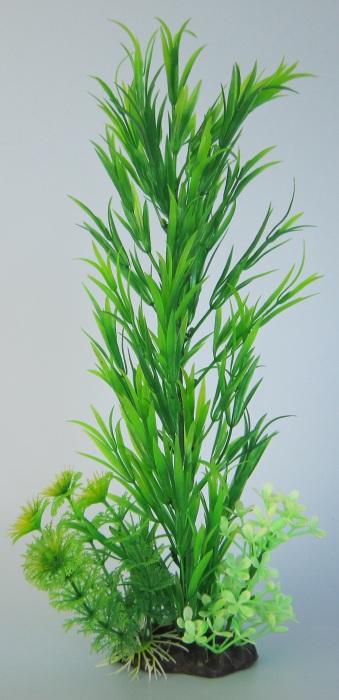 Pflanzen Deluxe XL Nr. 7 (32 - 38 cm)