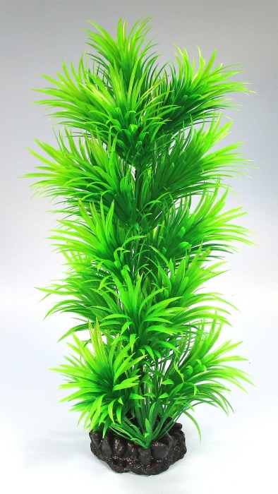 Pflanzen Deluxe XL Nr. 37 (32 - 38 cm)