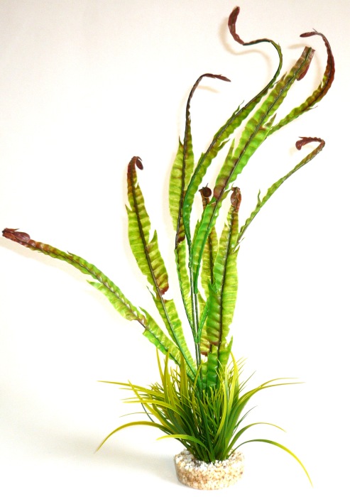 Plante de mer 40 cm de haut [P6]