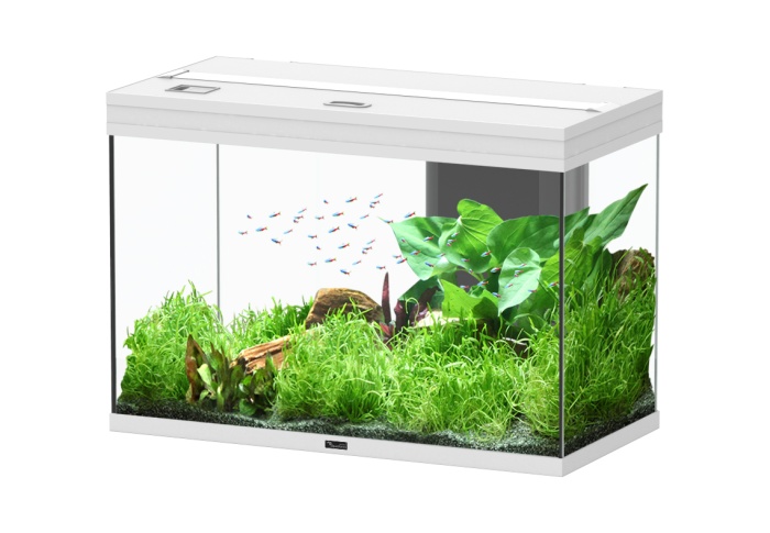 Splendid Ultra 145 Weiß Aquarium