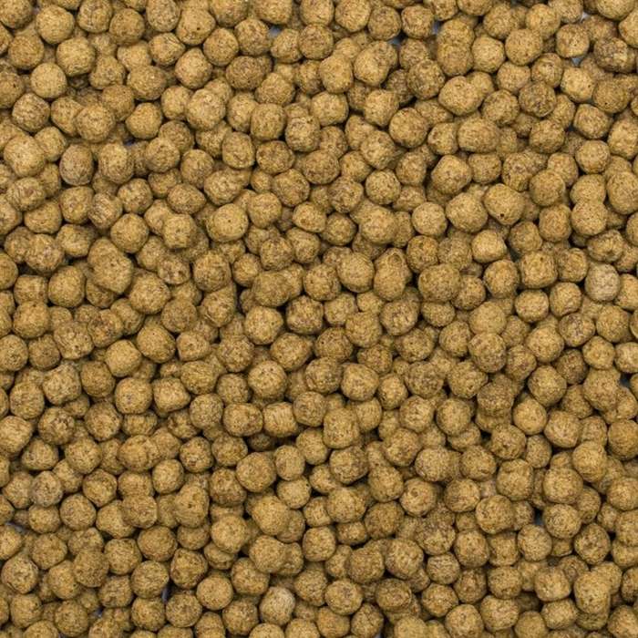Koi Silkworm & Astaxanthin Pellets M (1000 ml)