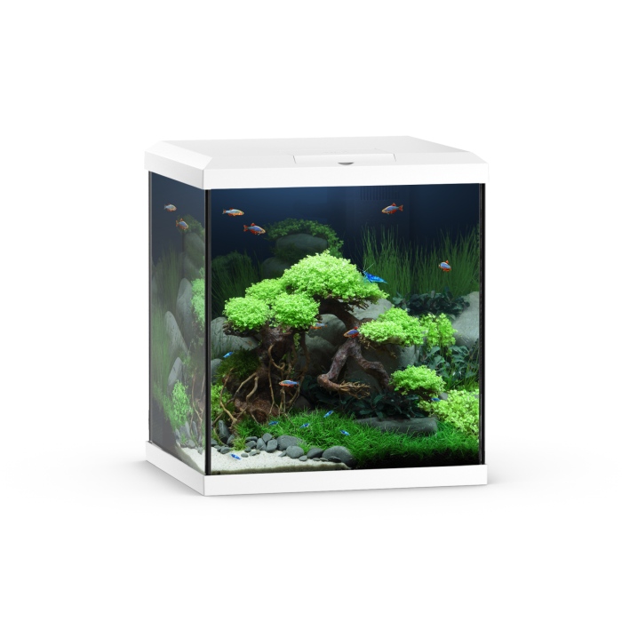 Vio Cube 54 weiß Aquarium