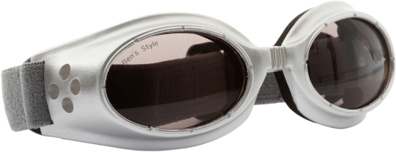 Hundebrille Hot I S chrom/grau