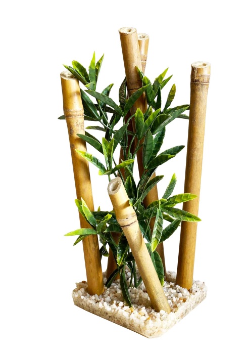 Bambou grandes plantes 25 cm de haut [P4]
