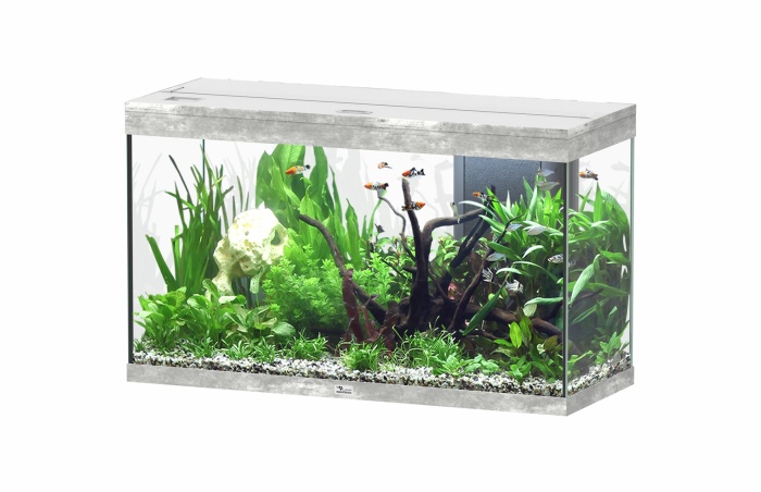 Splendid Ultra 200 Steinoptik Aquarium