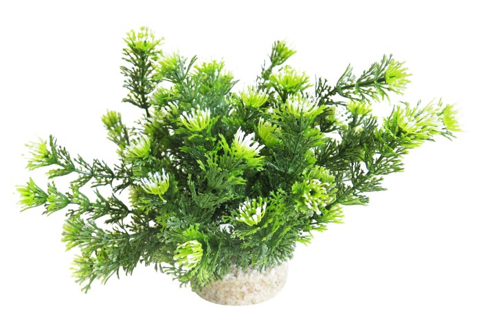 Marina bowl 21 cm hoch [P4]