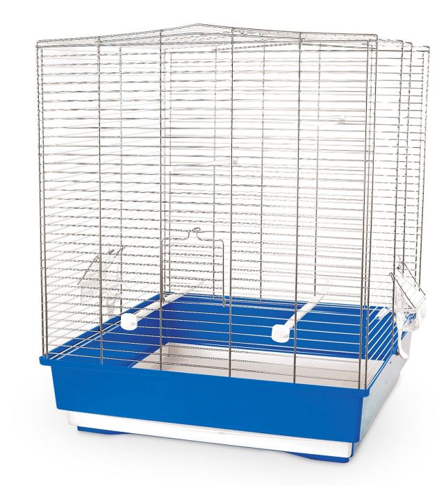 Lisa Blue Chrome, Bird Cage