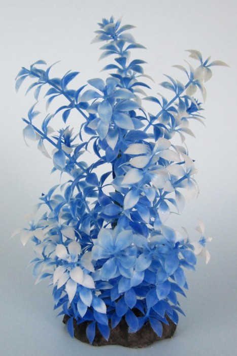 Pflanzen Deluxe M Nr. 25 (18 - 22 cm)