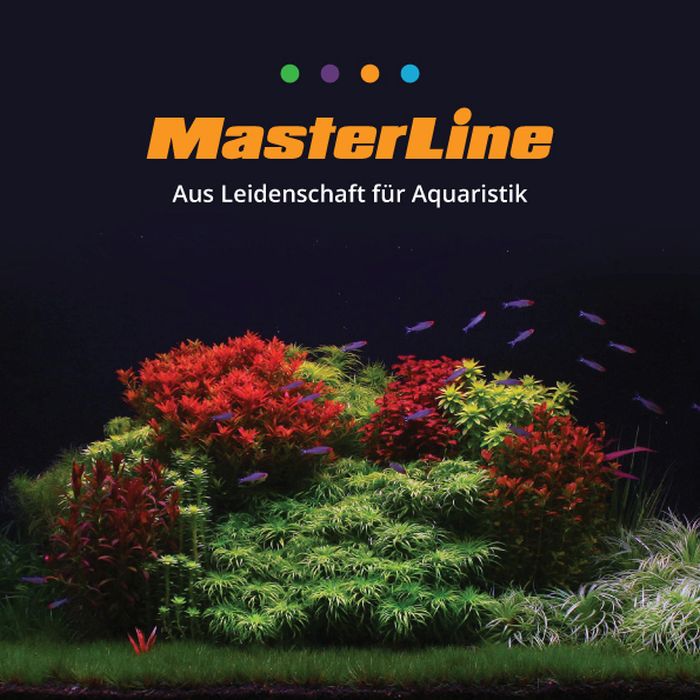 Masterline Katalog