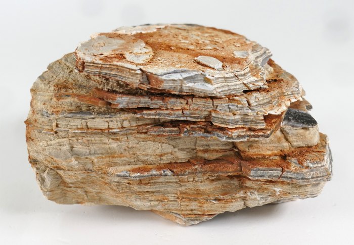 Colorado Rock S (0,5 - 0,8 kg)