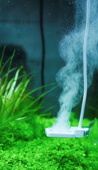 Reaktor für Doctor Mate