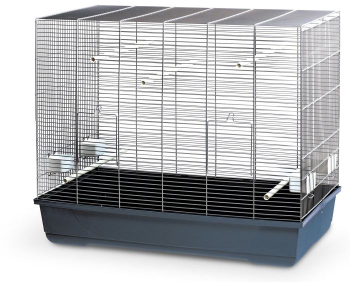 Kloris Blau Chrom, Vogelheim