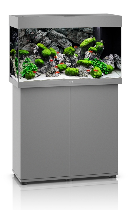 Rio 125 LED SBX grau Kombination