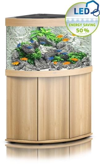 Trigon 190 LED SBX helles Holz Kombination