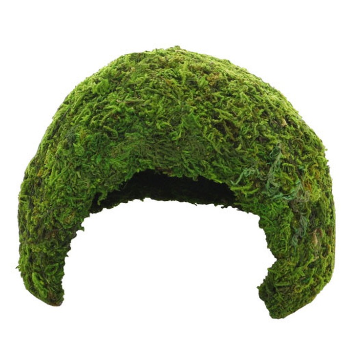 Jungle Cave 2 (17 x 17 x 12 cm)