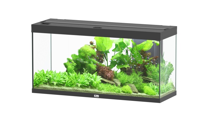 Splendid Ultra 240 Schwarz Aquarium