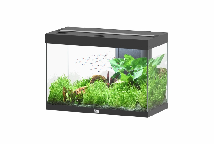 Splendid Ultra 145 Schwarz Aquarium