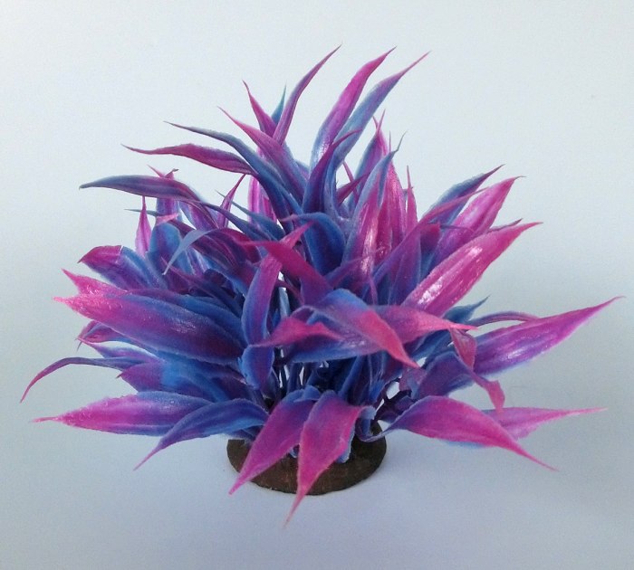 Pflanzen Deluxe S Nr. 29 (8 - 12 cm)