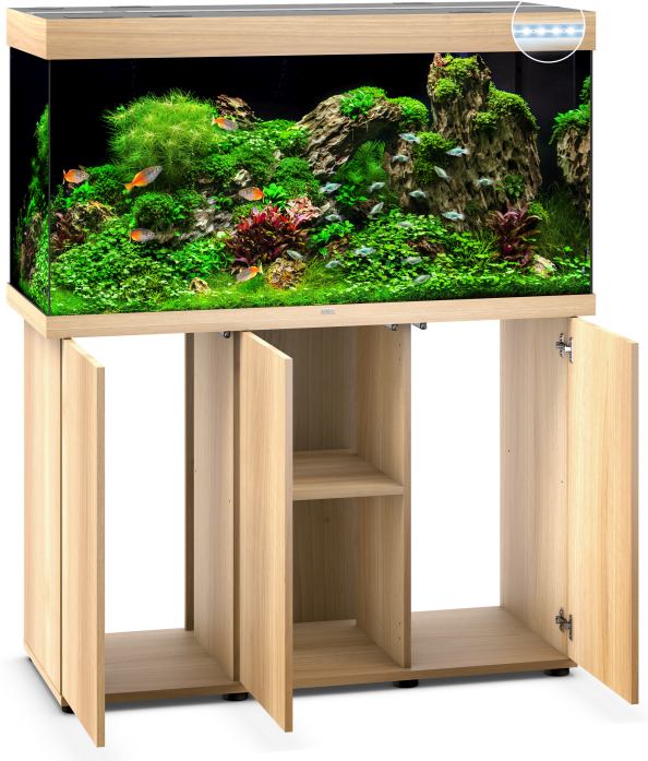 Rio 350 LED SBX helles Holz Kombination