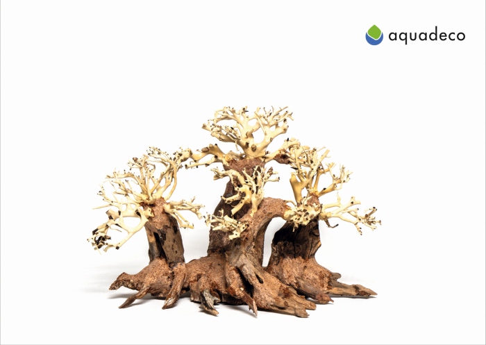 Wald-Bonsai M (40 x 20 x 25 cm)